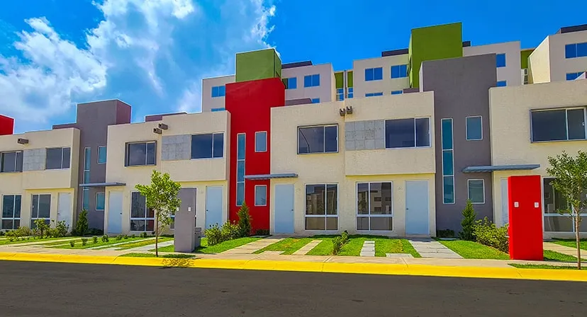 Ciprés Cumbres de la Montaña